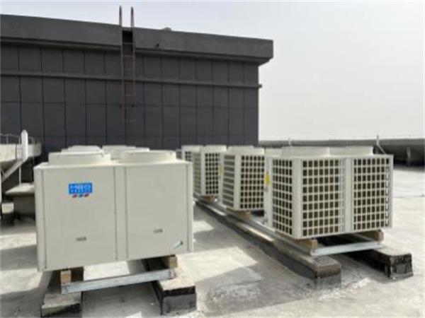 投資未來：校園BOT項目助力學生茁壯成長